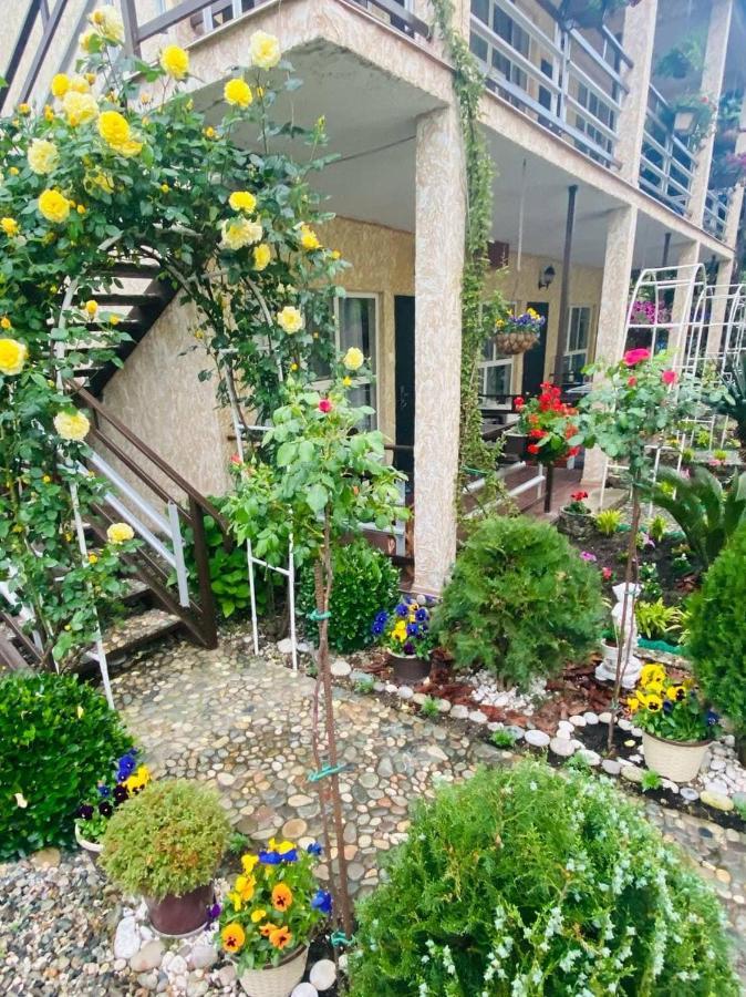 Мини-Отель Дарья В Пицунде Pizunda Exterior foto