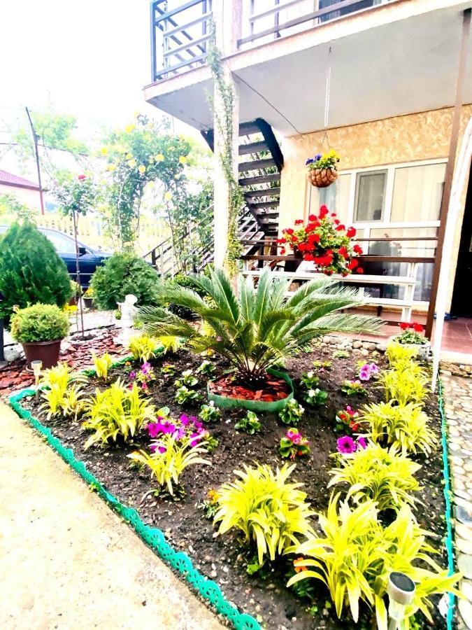 Мини-Отель Дарья В Пицунде Pizunda Exterior foto